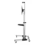 Aisens FT70TRE-037 Soporte de Suelo con Ruedas para TV de 37-70 pulgadas